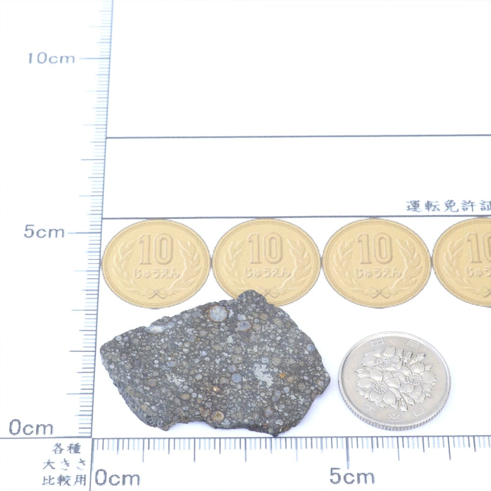 NWA2086 隕石 5.7g 炭素質コンドライト CV3 石質隕石 標本 M2601