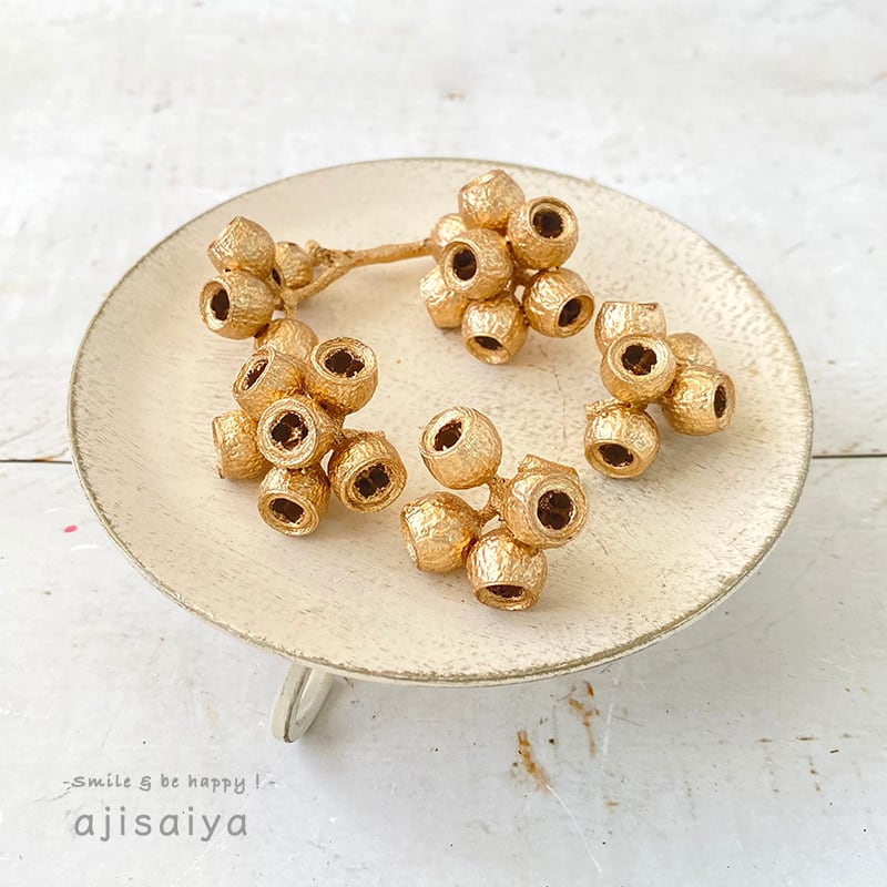 ユーカリ アンバーナッツの実 ゴールド【 木の実 】 | はじめての  