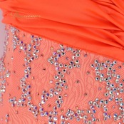 社交ダンス 衣装 スタンダードドレス ワンピース ドレス スタンダード フロート 羽 レース フリル デモ 競技 蛍光 サーモンピンク オレンジ 発表会 パーティ ピンク系 オレンジ系 フロア映え 揺れる装飾 おしゃれ 女性らしい ステージ用 ダンス衣装 社交ダンスイベント 競技用ドレス