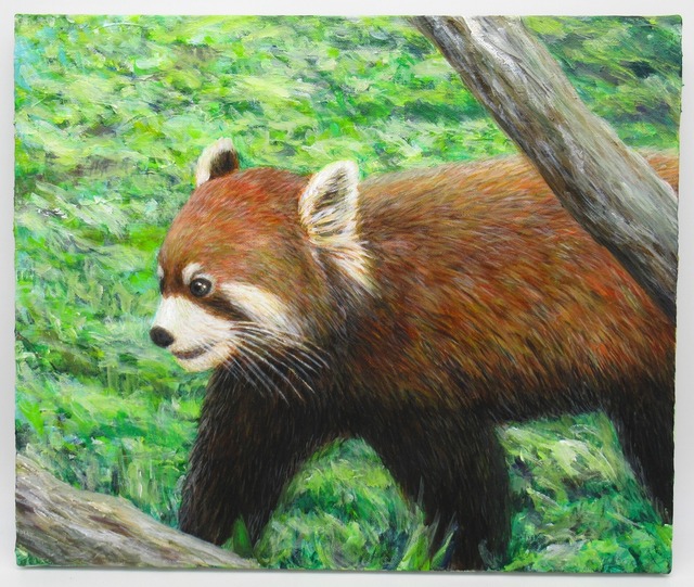絵画 レッサーパンダ（01）redpanda アクリル画  8号 絵 F8 KIYOKAWA AIMI【絵画 送料無料】