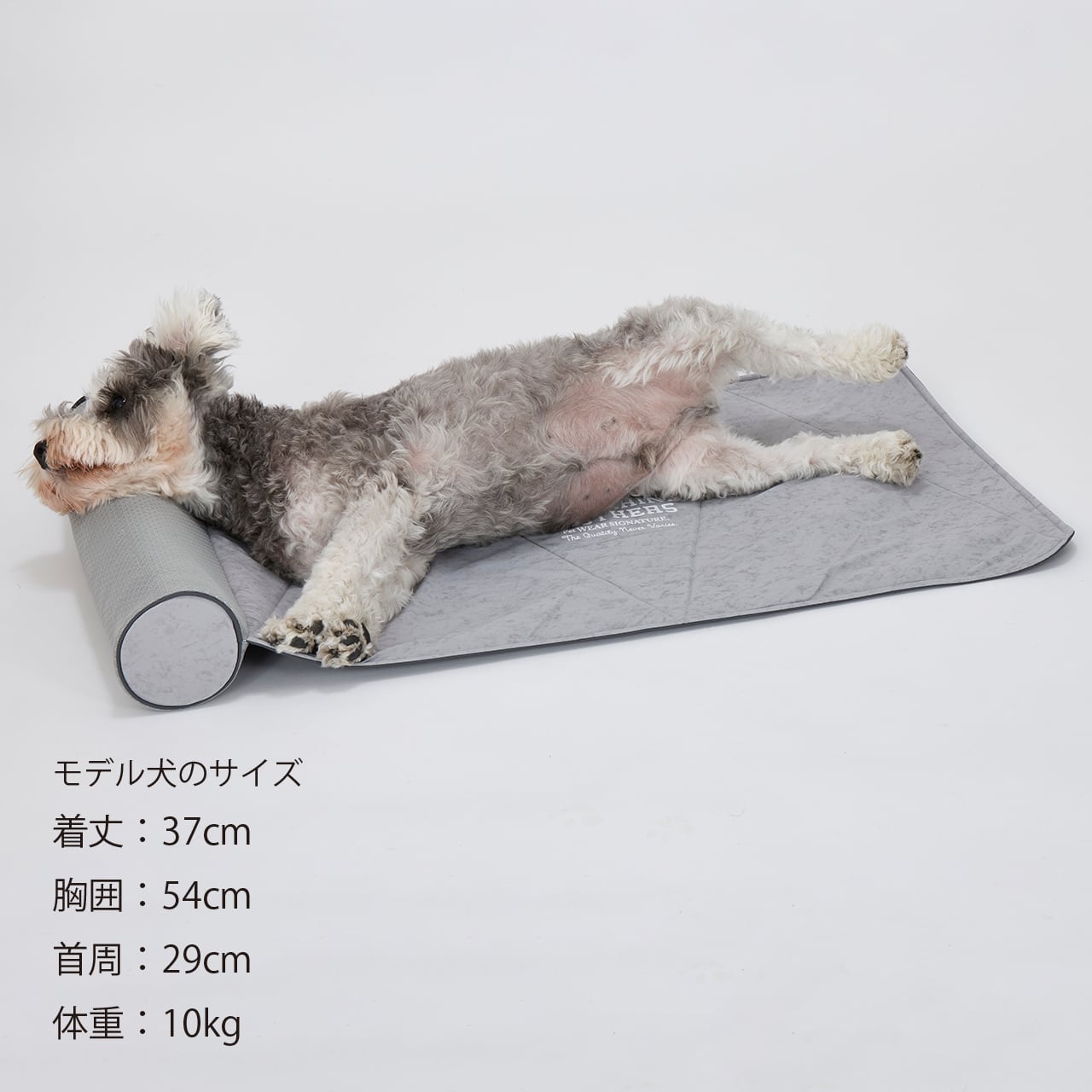ICY COZY ROOM MAT アイシーコージールームマット | MANDARINE