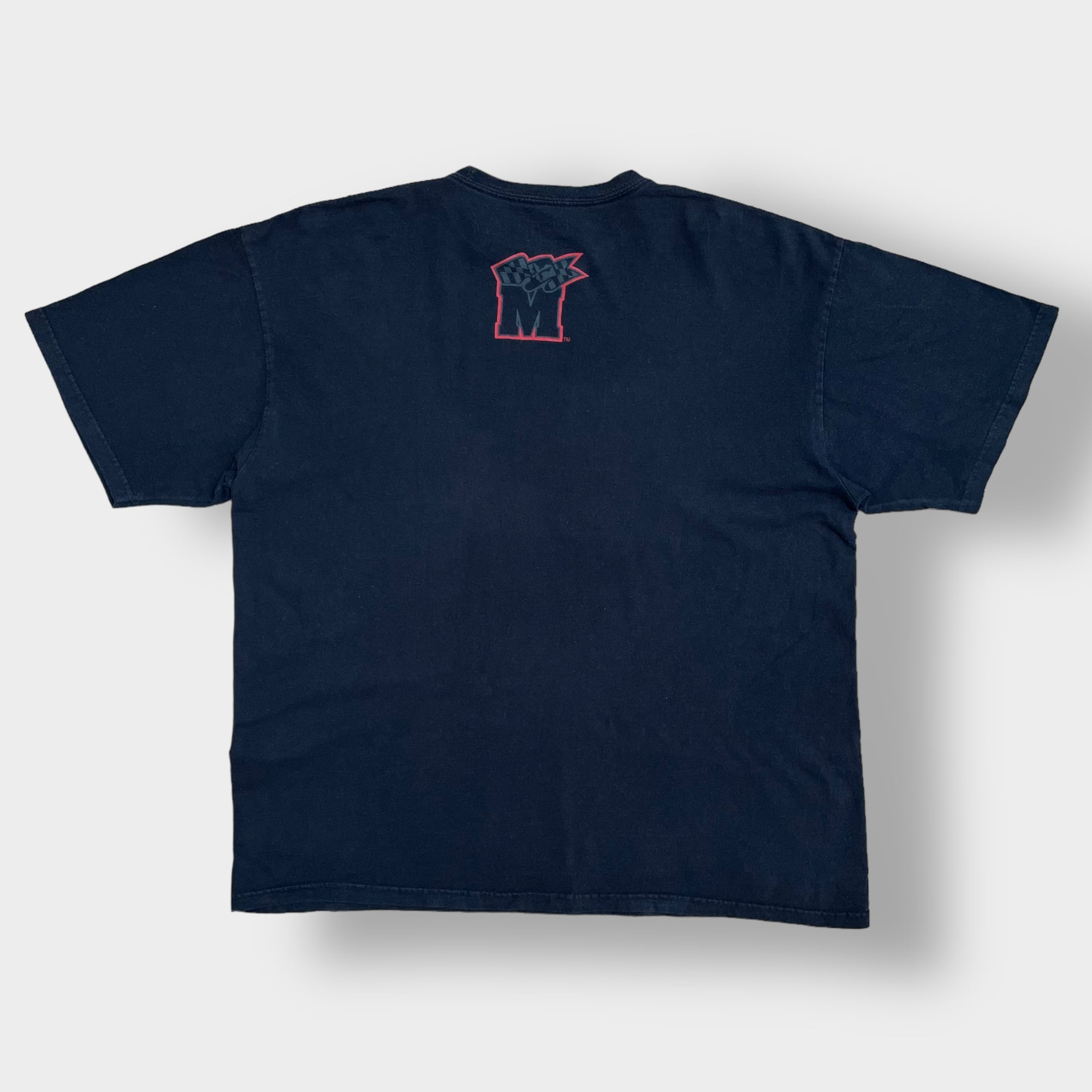 【アメリカ❗️】90s アニマルロゴ半袖Tシャツ　グレー　L ビッグサイズ