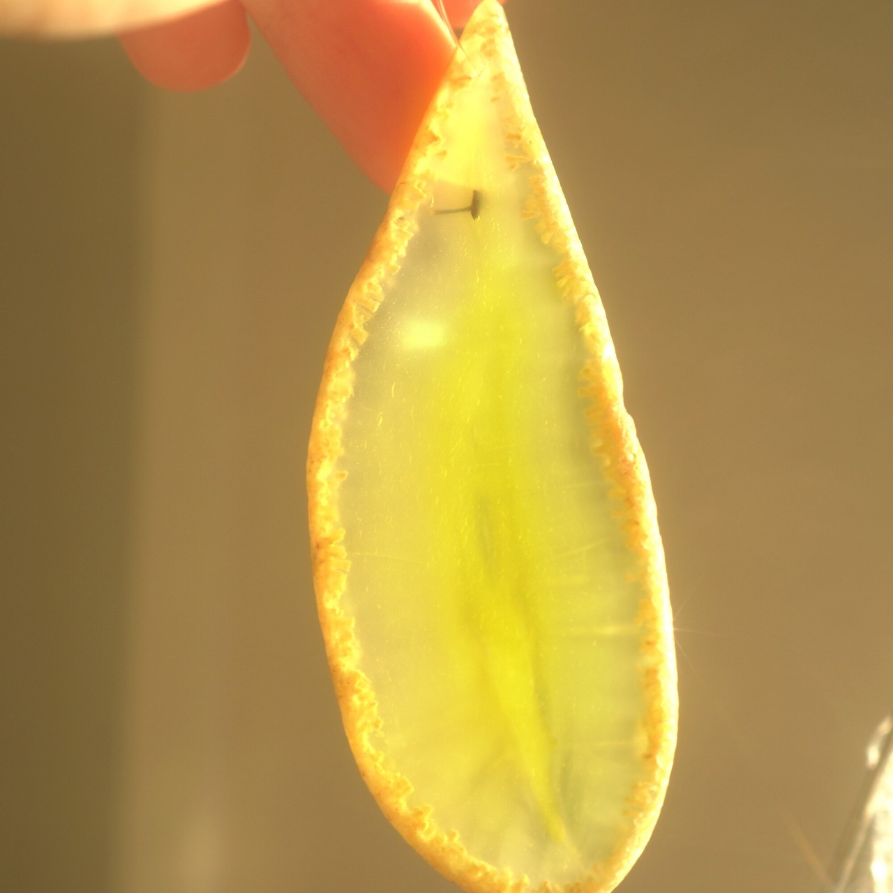 Hawaiian Gelato 08 - アゲートヒーリングチャイム / Agate Healing Chime 1179