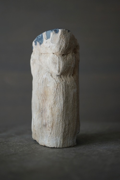 土岐石　岐阜県産珪化木 Petrified Wood 1228