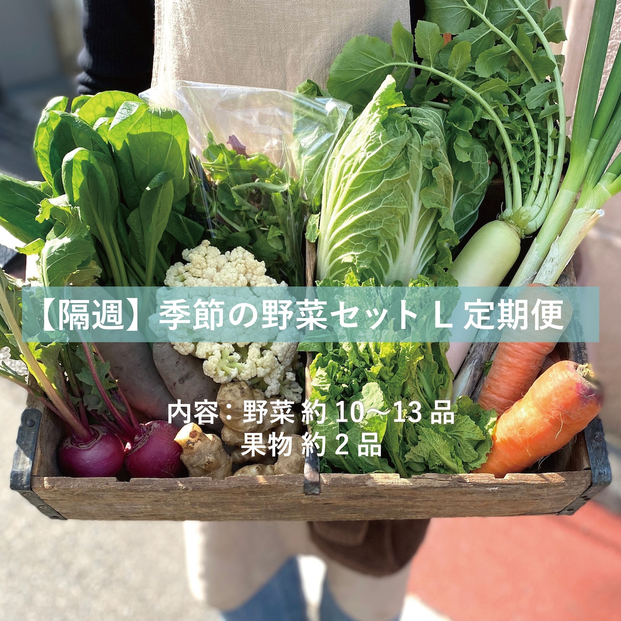 季節の野菜セットL　定期便　【隔週】