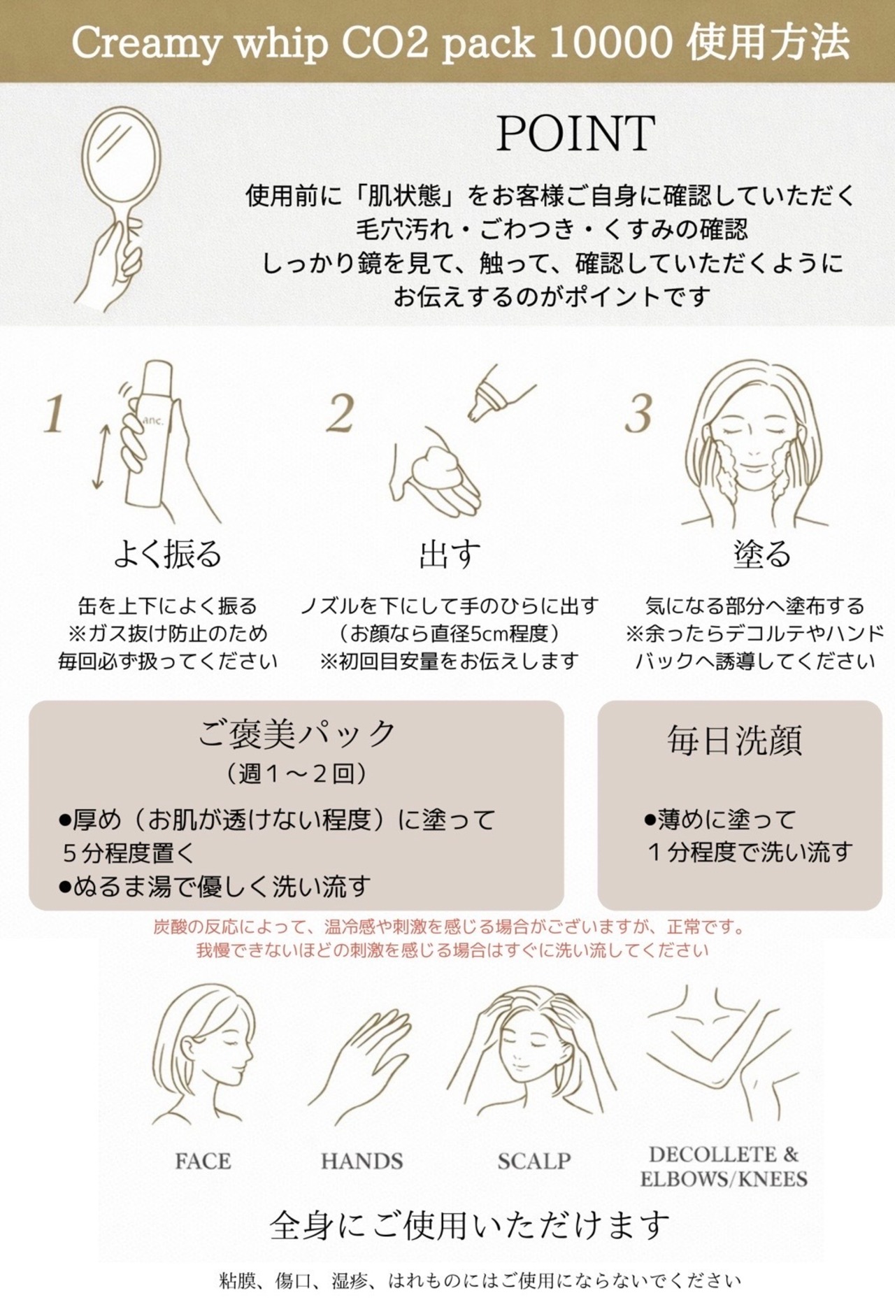 【 11月キャンペーン特典付き★ 】anc. クリーミーホイップCO2パック10000 〔 3本＋1 〕