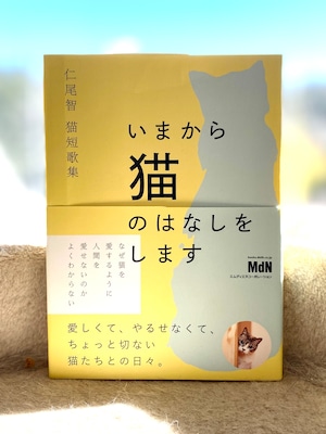 【限定６冊】いまから猫のはなしをします（サイン本）