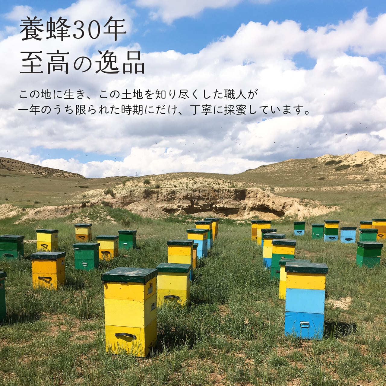 【人気No1】白いはちみつ 120g (税込)