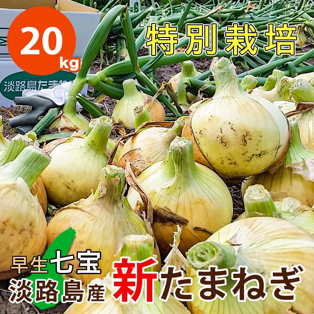 淡路島新玉ねぎ 訳あり5キロ - 野菜