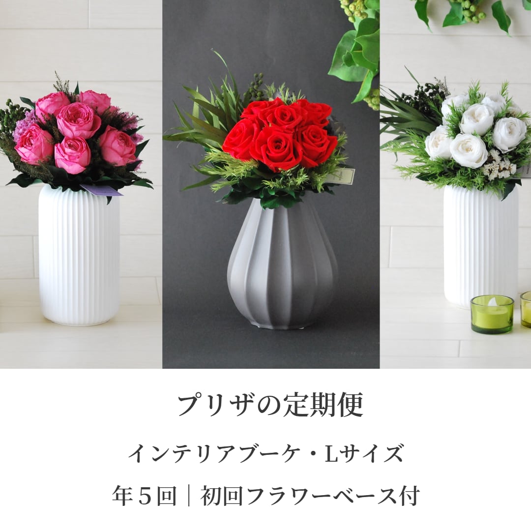 プリザーブドフラワー 定期便 インテリアブーケ Lサイズ 年5回|初回フラワーベース付きサブスク