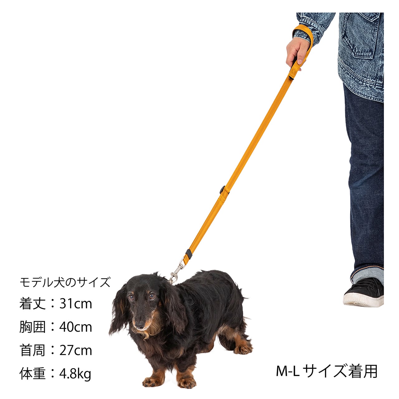 イタリア直接買付☆for pets onlyカラー＆リードセット CLASSIC LEASH M-Lサイズ クラシックリード M-Lサイズ | MANDARINE