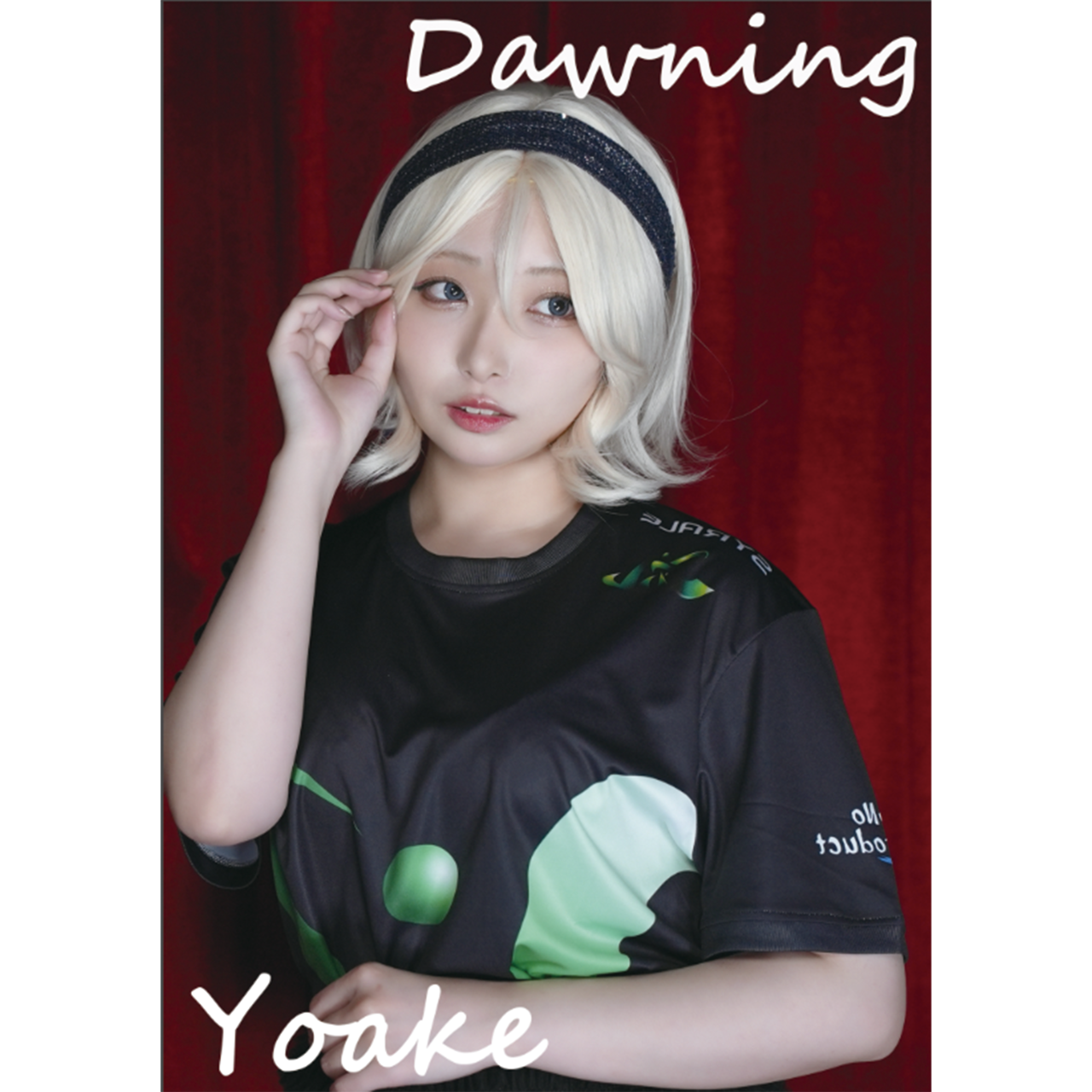 写真集（ダウンロードVer）