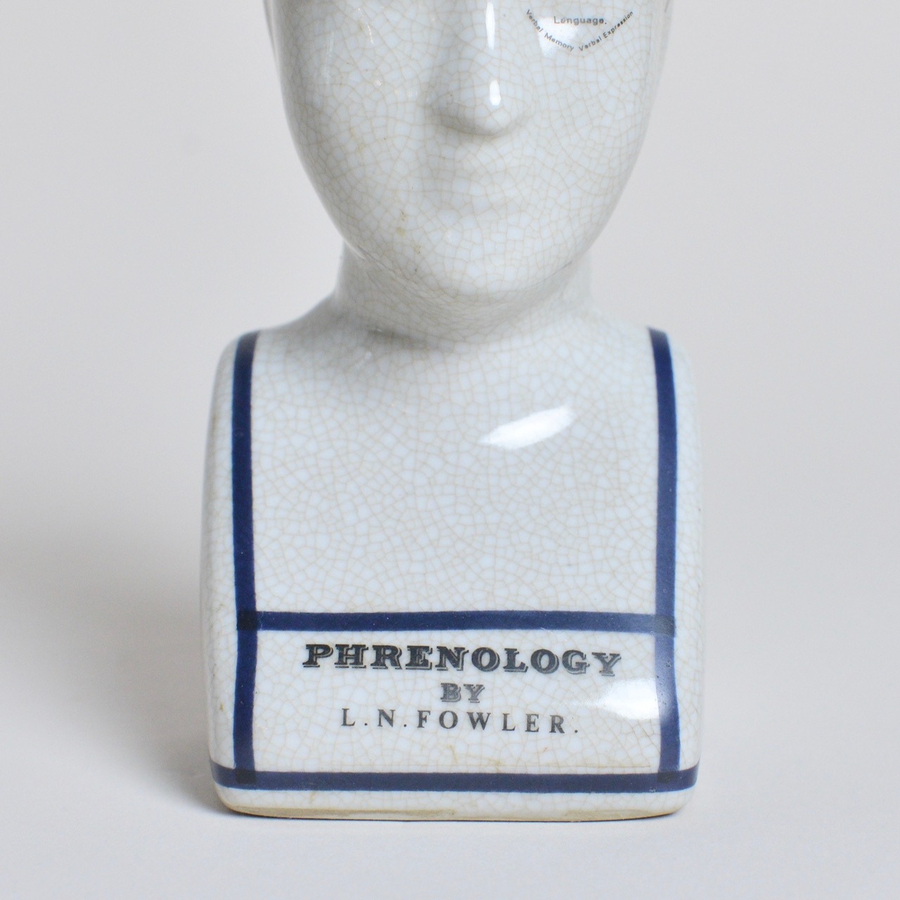 Phrenology Head / フレノロジー ヘッド【S】〈 模型 / ディスプレイ / オブジェ 〉SB2012-0028