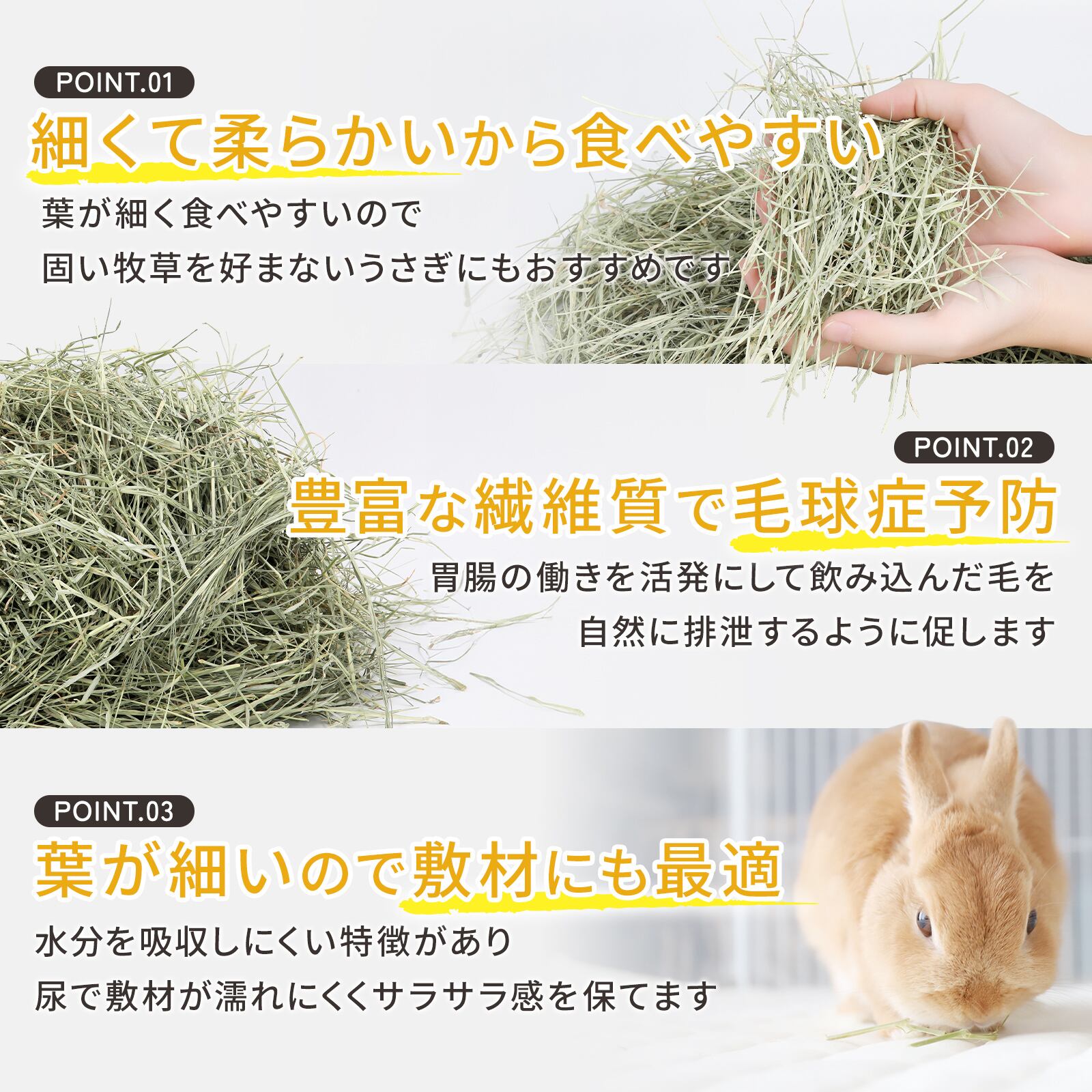 牧草王国 特選 バミューダヘイ お試しパック 50g | うさぎの牧草