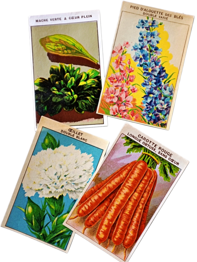 20s フランス ４set 膨満な花々と野菜たち 種子袋用ラベルw アンティーク
