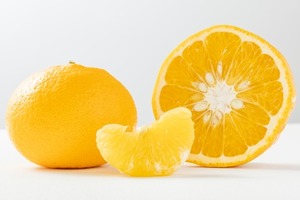 Lなつみかん発酵シロップ／BIGサイズ／350ml｜ギフト・お菓子・おやつ・発酵