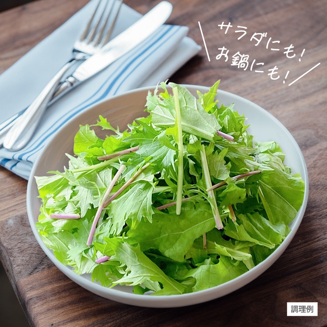 【FISH VEGGIES】ミックス水菜　70g　化学肥料/化学農薬不使用だから安心して食べられる