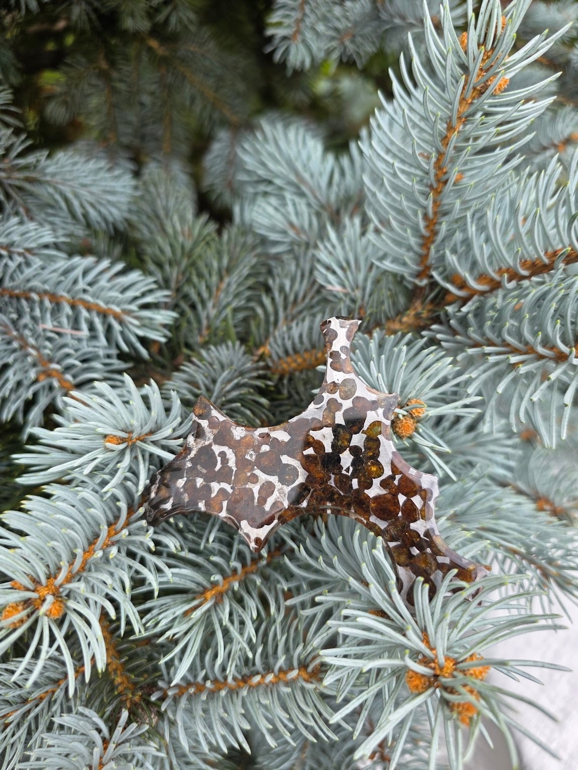 セリコ・パラサイト隕石｜星の欠片、光と影のモザイク | 日賀 Nichika