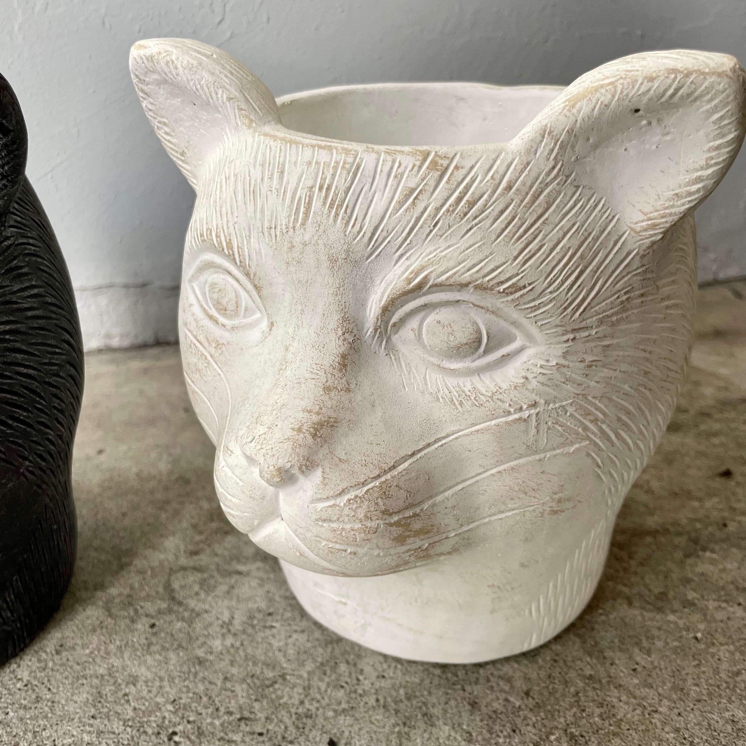 白猫黒猫 植木鉢 花鉢 | ハルカゼフラワー