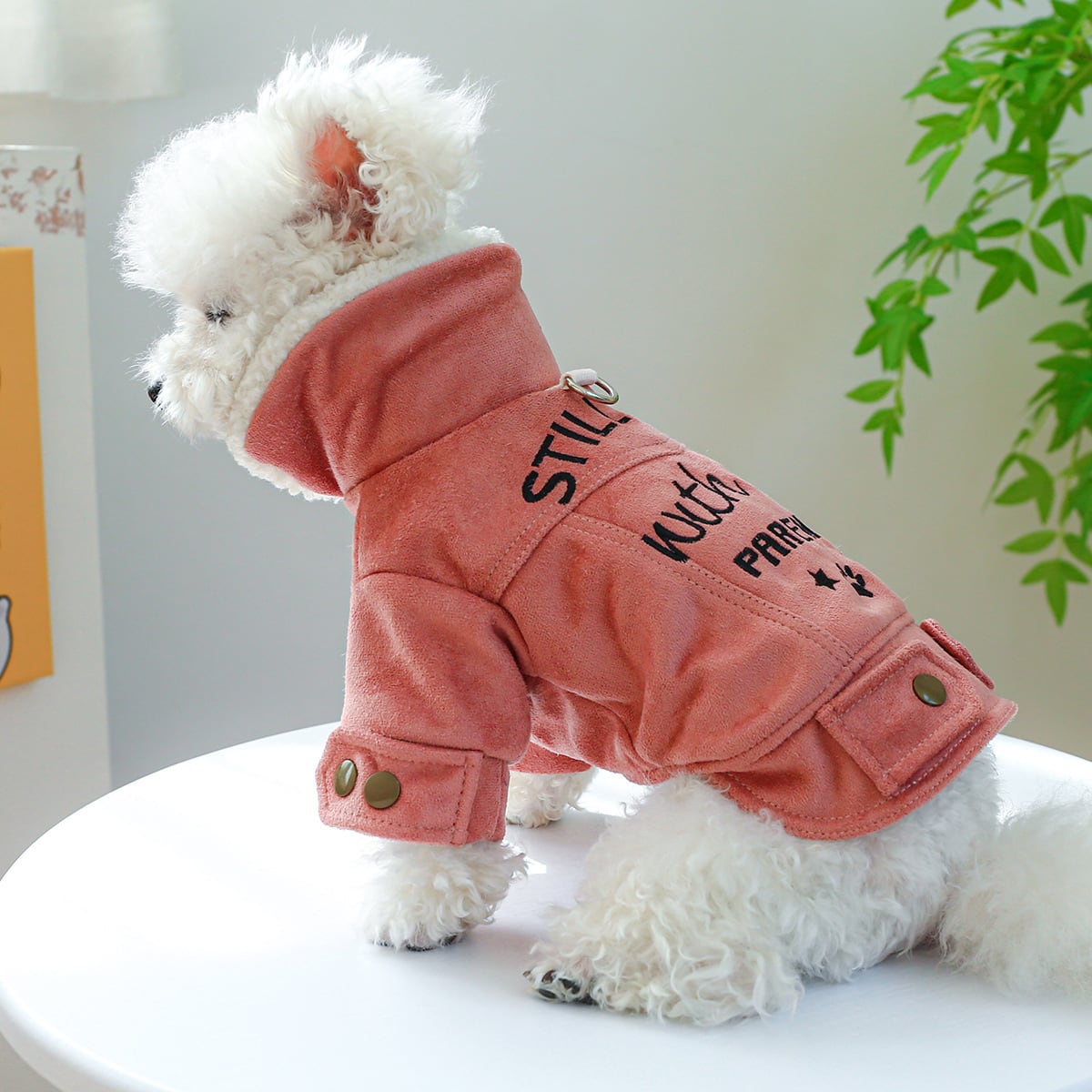 【オリジナル】犬の服 オルジナル ライダースジャンバー Lサイズ