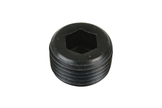 3/8NPT Blind bolt