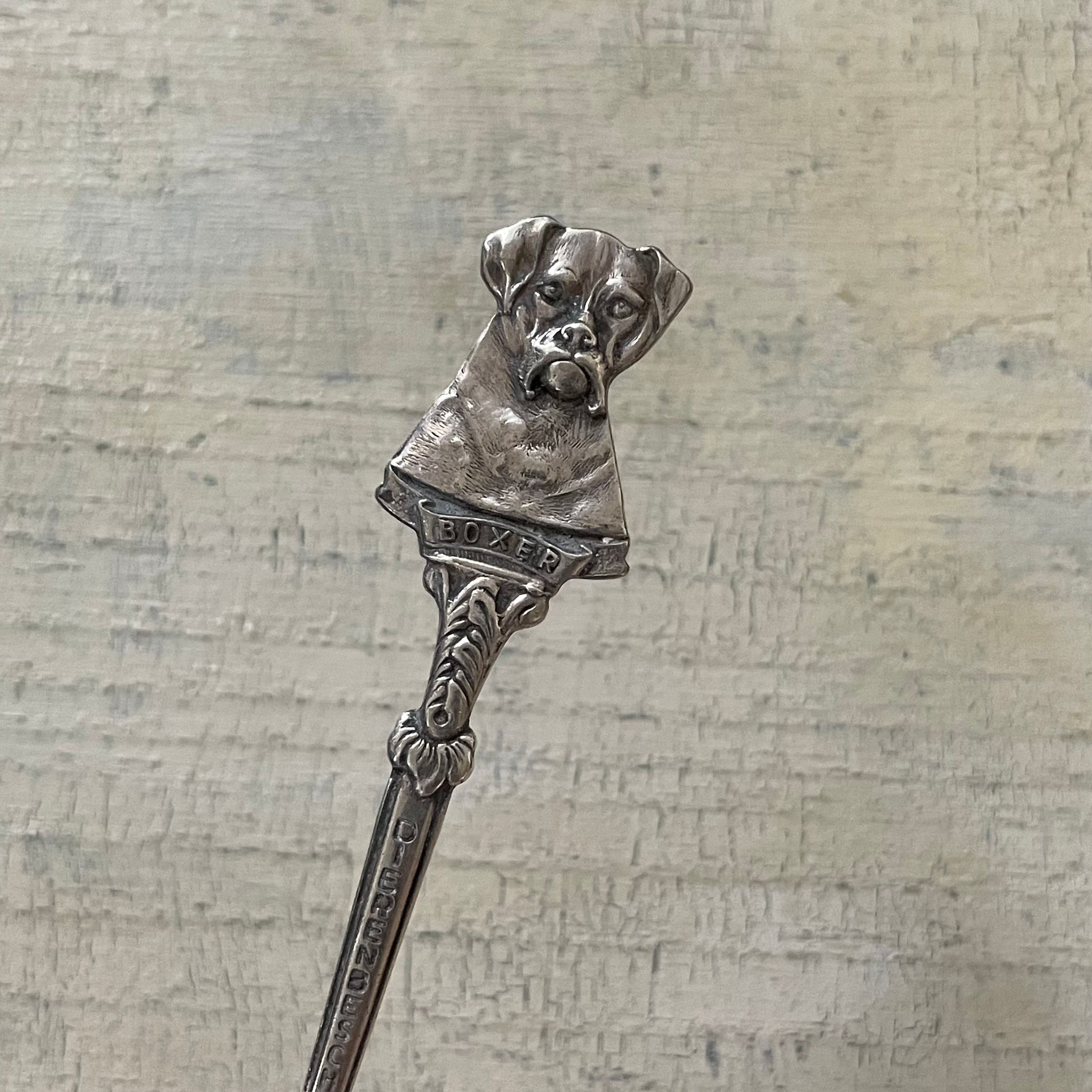 ボクサー犬のティースプーン