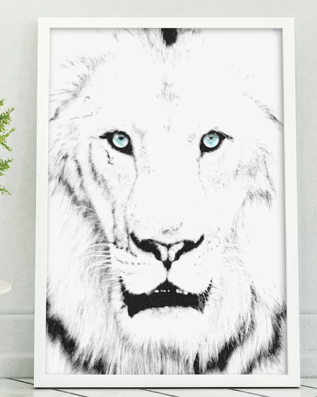 アートポスター / White lion　eb047