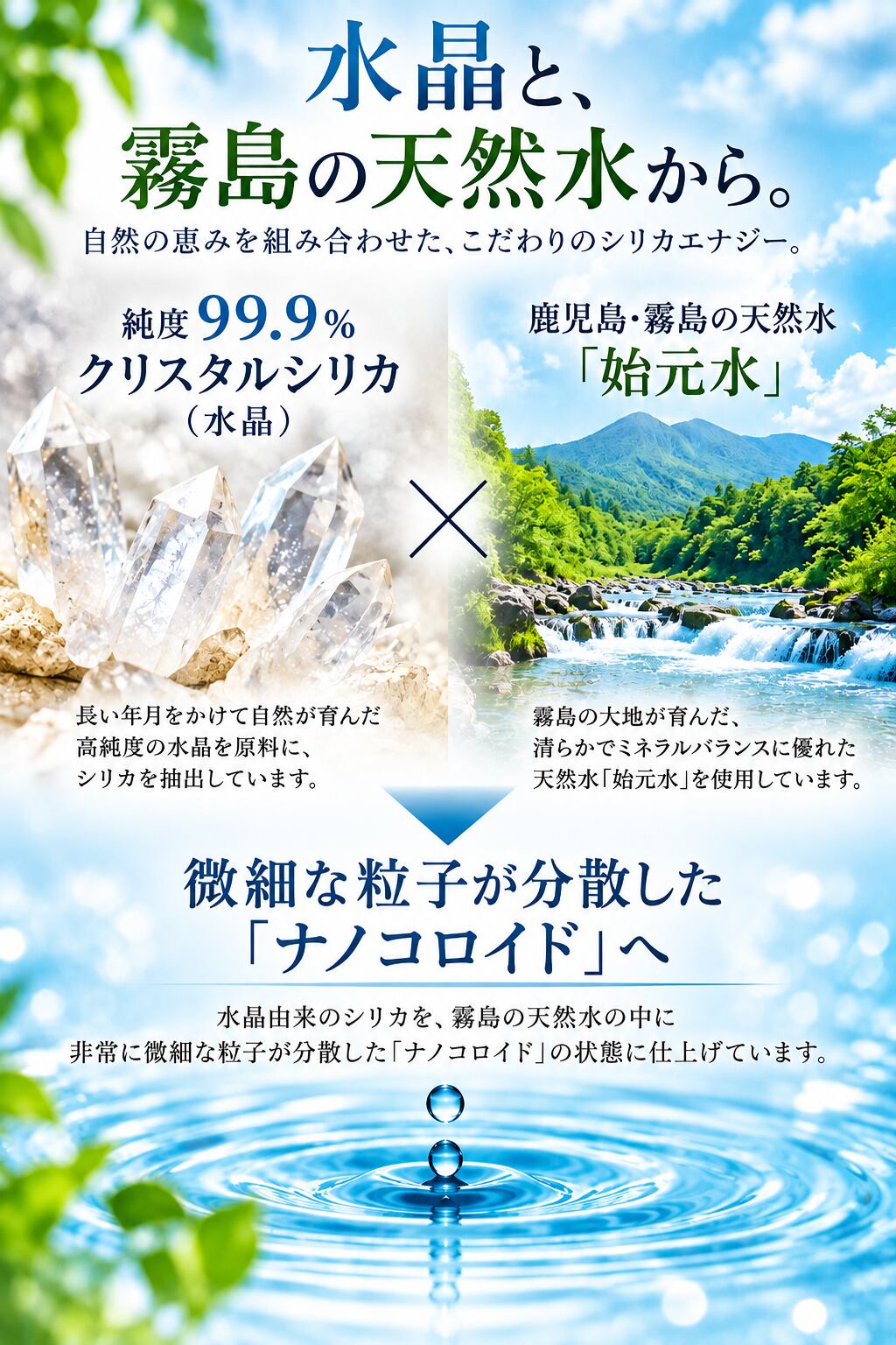 シリカエナジー 50ml×2本セット｜水溶性珪素 濃縮液 | こだわり厳選堂
