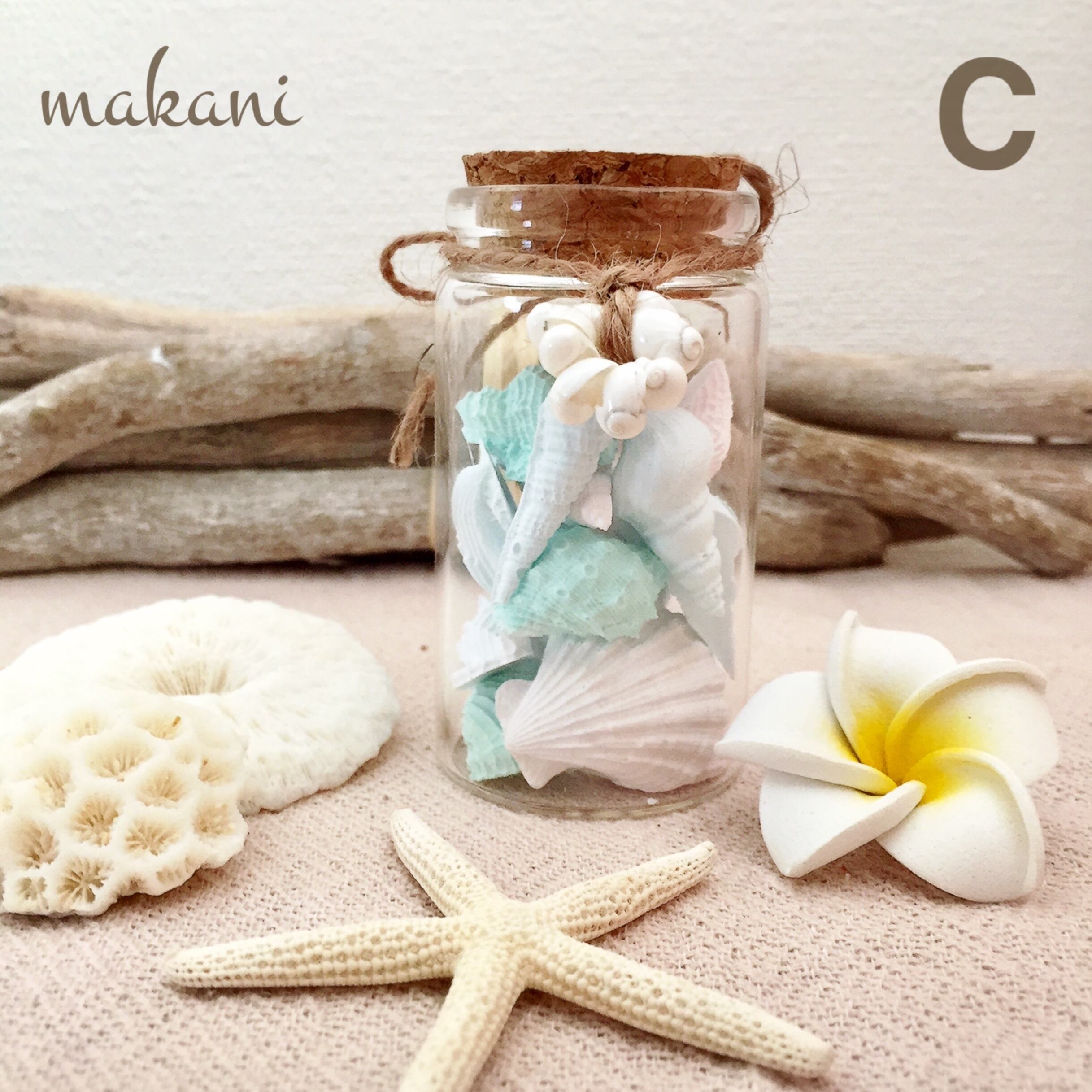 ハイビスカス&シェル アロマストーン 【公式通販】