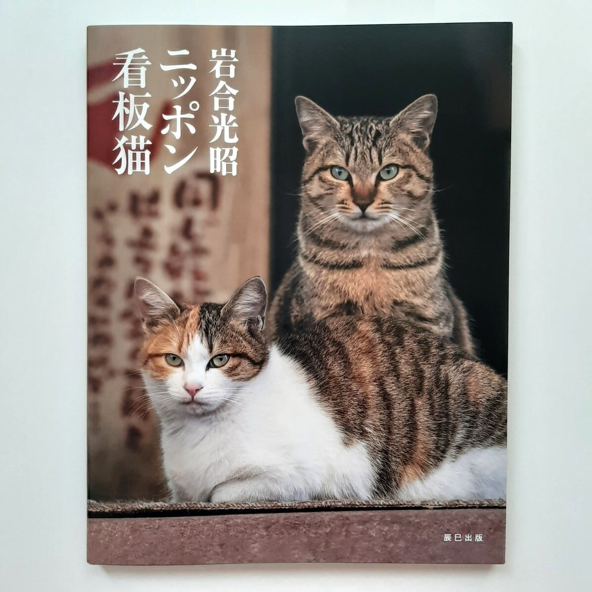 岩合光昭ニッポン看板猫 | ねこのみち