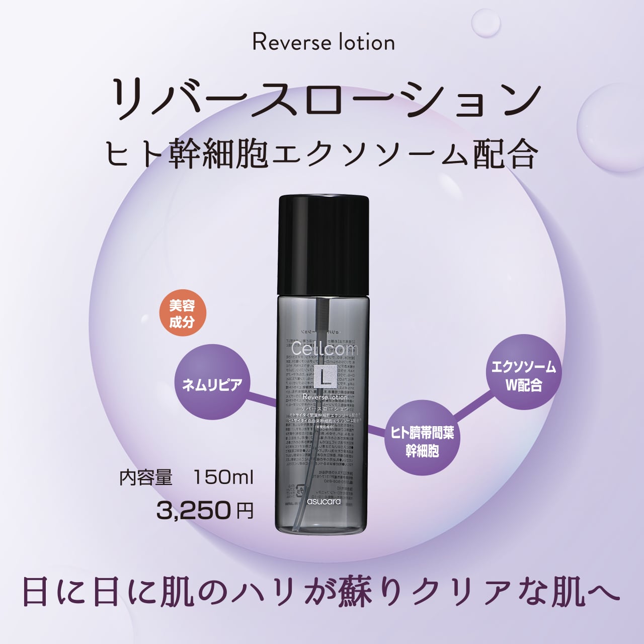 サマーキャンペーン2026実施中!最大20%off!Cellcomシリーズ ヒト幹細胞エクソソーム配合【リバースローション】