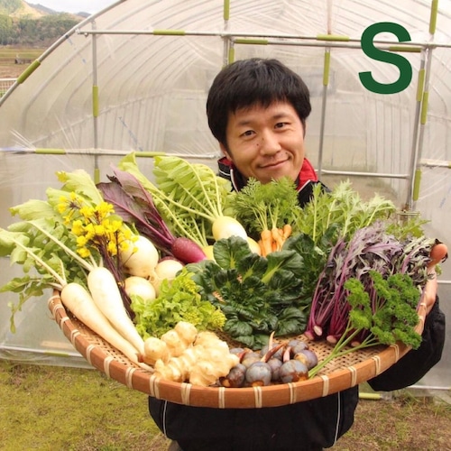 季節のお野菜 おまかせボックスSサイズ　