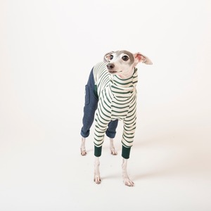 ボーダーファッションロンパース　green / イタグレ服