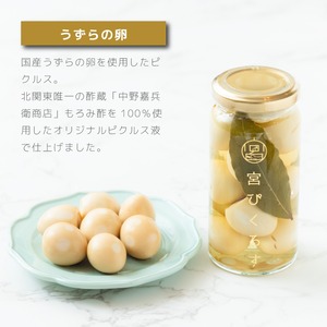 宮ぴくるす 無添加ピクルス ミニサイズ6種類セット｜栃木産野菜×老舗酢蔵仕込み おしゃれな贈り物にも