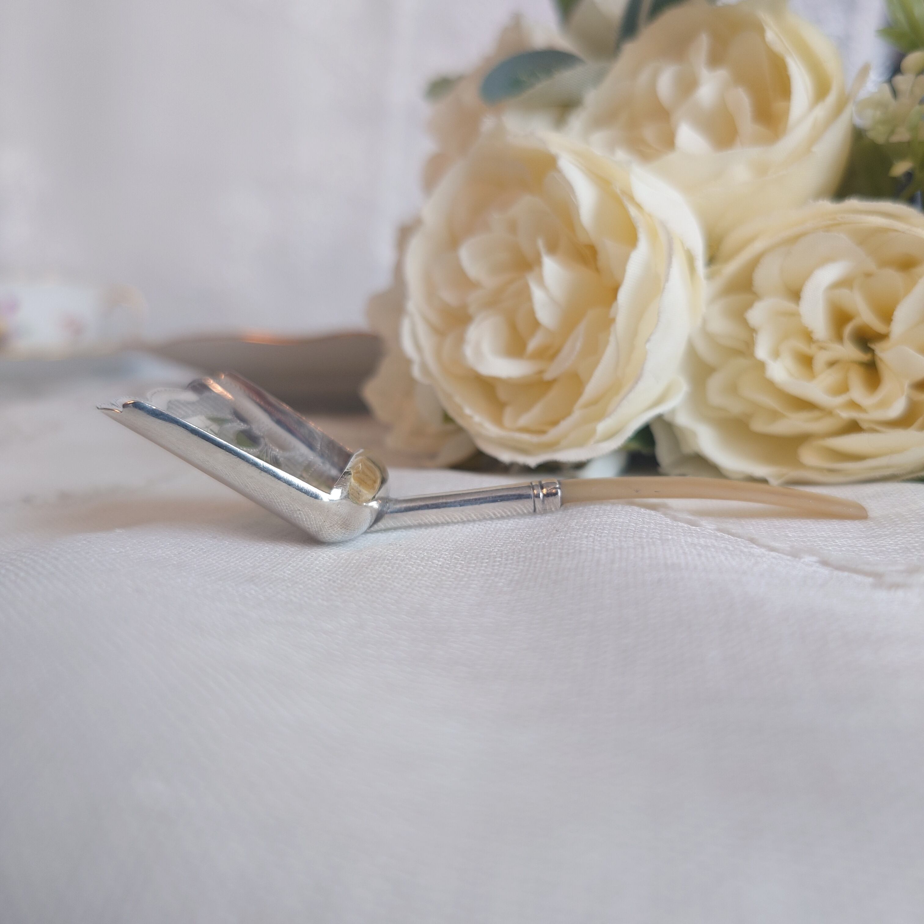 白蝶貝ハンドル 純銀 ティーキャディースプーン 1818年 | アンティーク