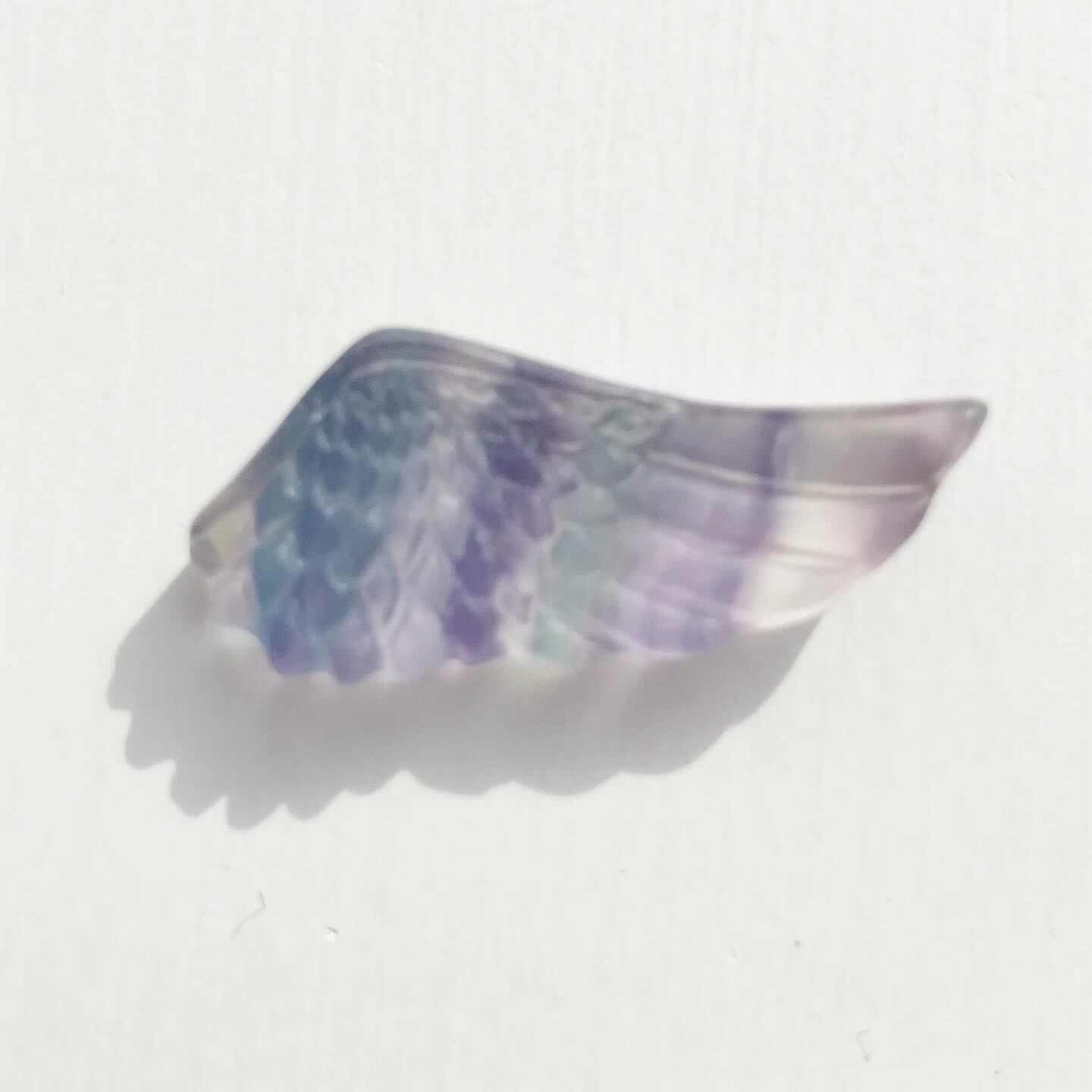 Fluorite Angel Wing 20