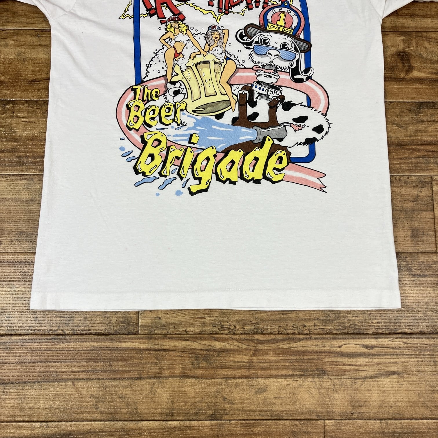 90年代 グラフィック Tシャツ 90´s SCREEN STARS BEST FACE THE FIRE T