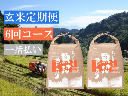 【玄米定期便 6回コース】令和５年産米 魚沼コシヒカリ 特別栽培米 10kg【一括払い】