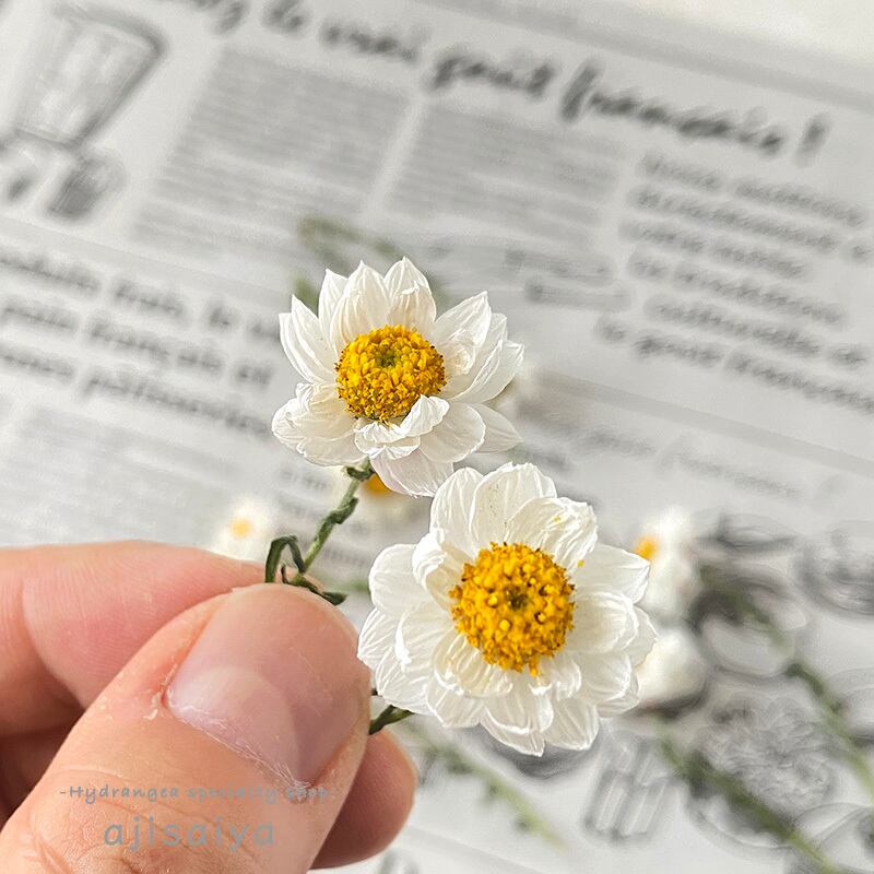 花かんざし ドライフラワー 自然素材こわけ専門店 あじさいや