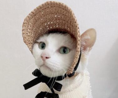 おすすめ☞《予約》2101037 むぎわら☆さんばいざぁ