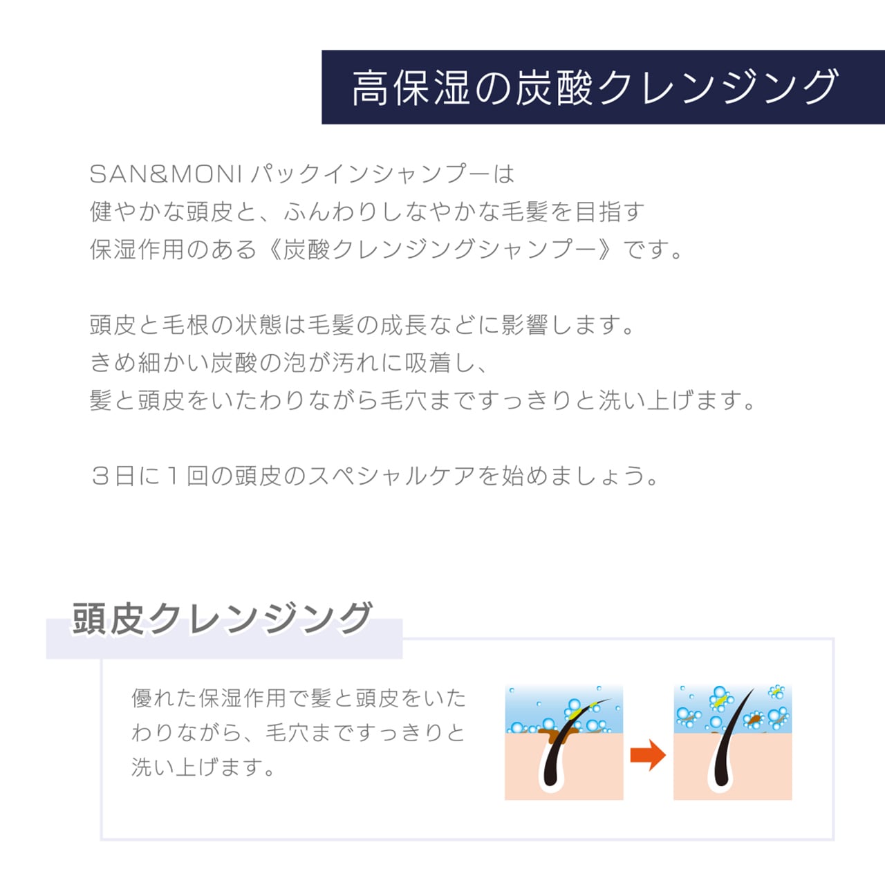 SAN＆MONI パックインシャンプー | SAFETY