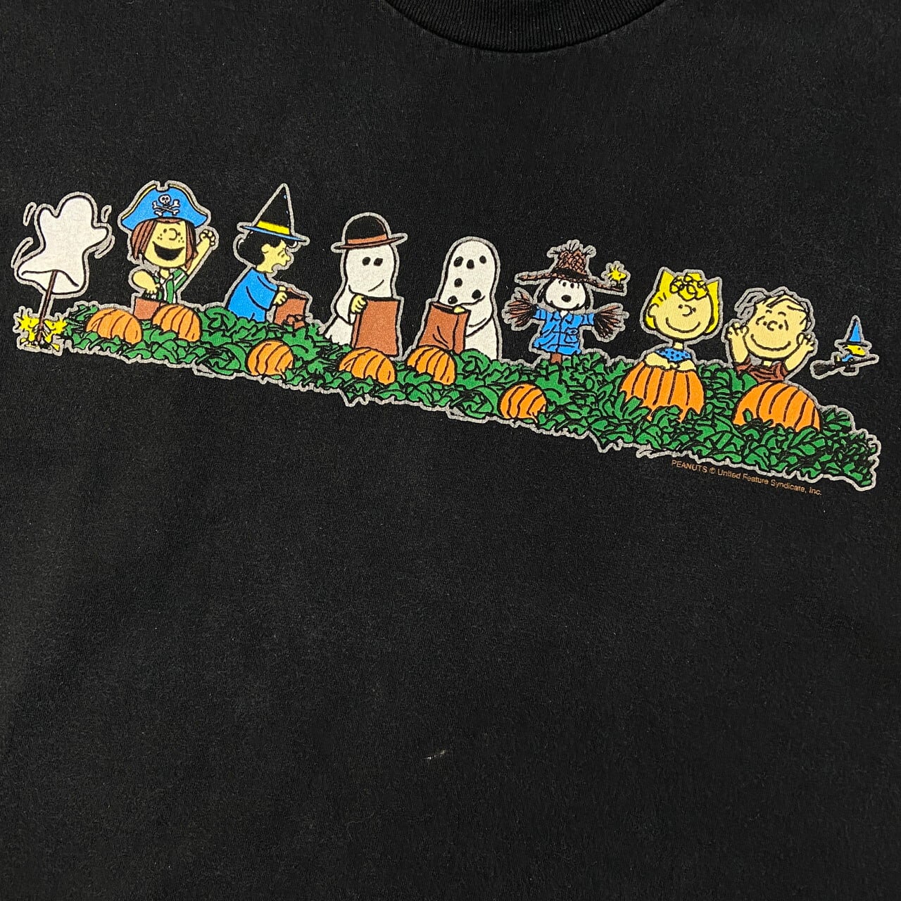 ~90年代 PEANUTS ピーナッツ スヌーピー キャラクタープリントTシャツ メンズM /eaa331039