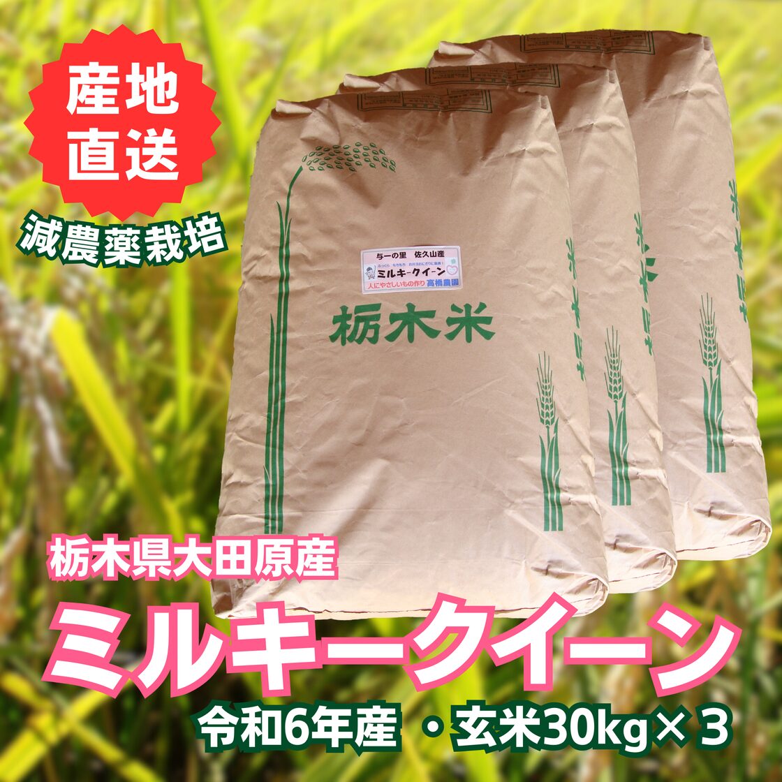 栃木県産 ミルキークイーン 玄米 30kg