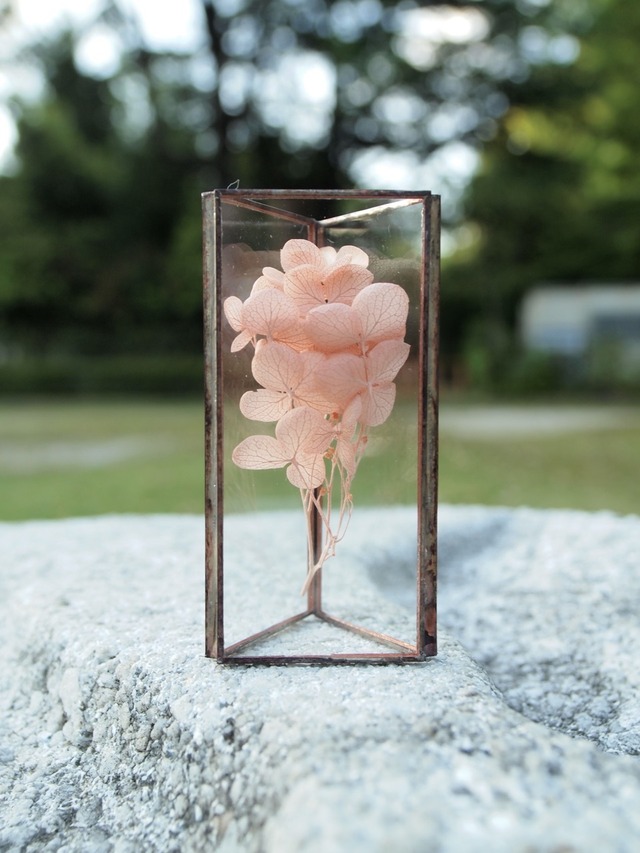 hacomidori　三角植物標本（中）　あじさい（pink）【hcm-sh-aj-m-pk】