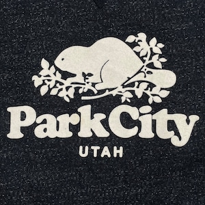 【ROOTS CANADA】UTAH PARK CITY ユタ州 パークシティ ブランドロゴ アップリケ スウェット トレーナー プルオーバー L 黒ボディUS古着