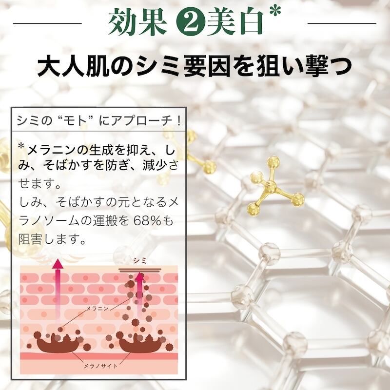 シワ改善 美白 無添加 リンクルクリーム アイクリーム 医薬部外品