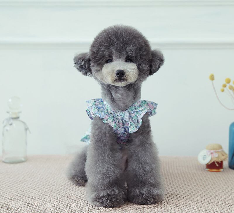 flower crop lace sleeveless S ~ XL 2color / 犬 服 クロップドトップス 犬の服 犬服 ショート丈 ペット洋服 ドッグウェア ペット用品 小型犬 中型犬 春夏 新作 お揃い 花柄 b55