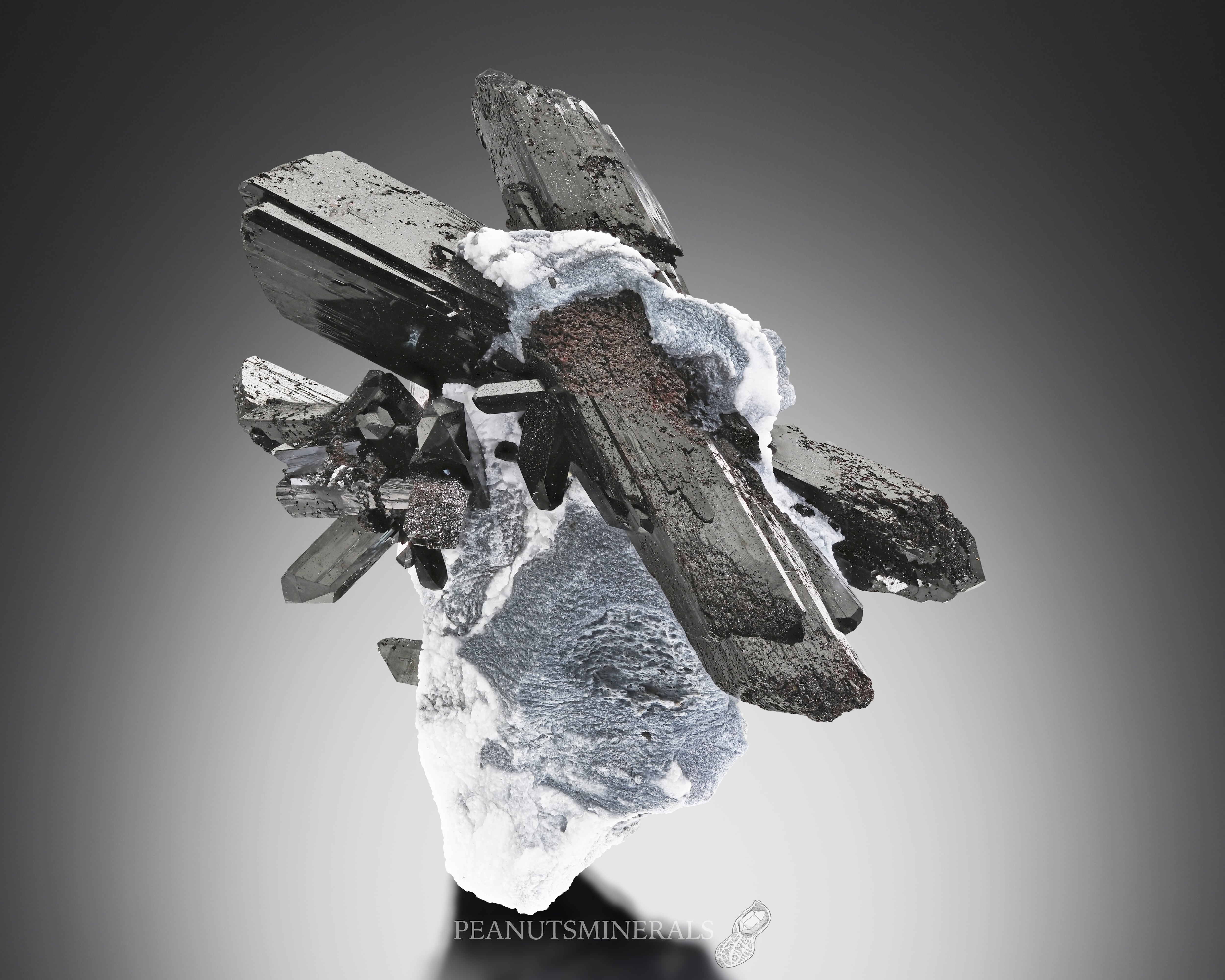 ネプチュナイト【Neptunite】アメリカ産 | PEANUTS MINERALS
