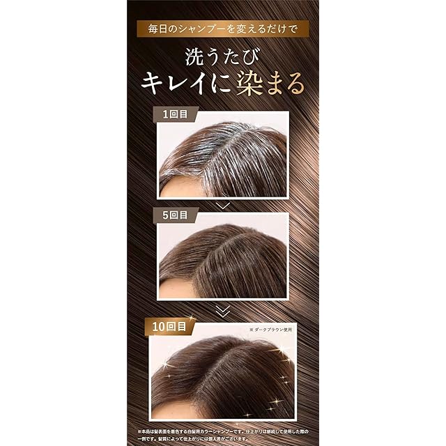 利尻カラーシャンプー お徳用サイズ 500ml（ライトブラウン） | essential