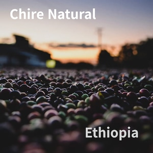 【透明感のあるナチュラル】シダマ チレ ナチュラル 豆または粉/100g〜